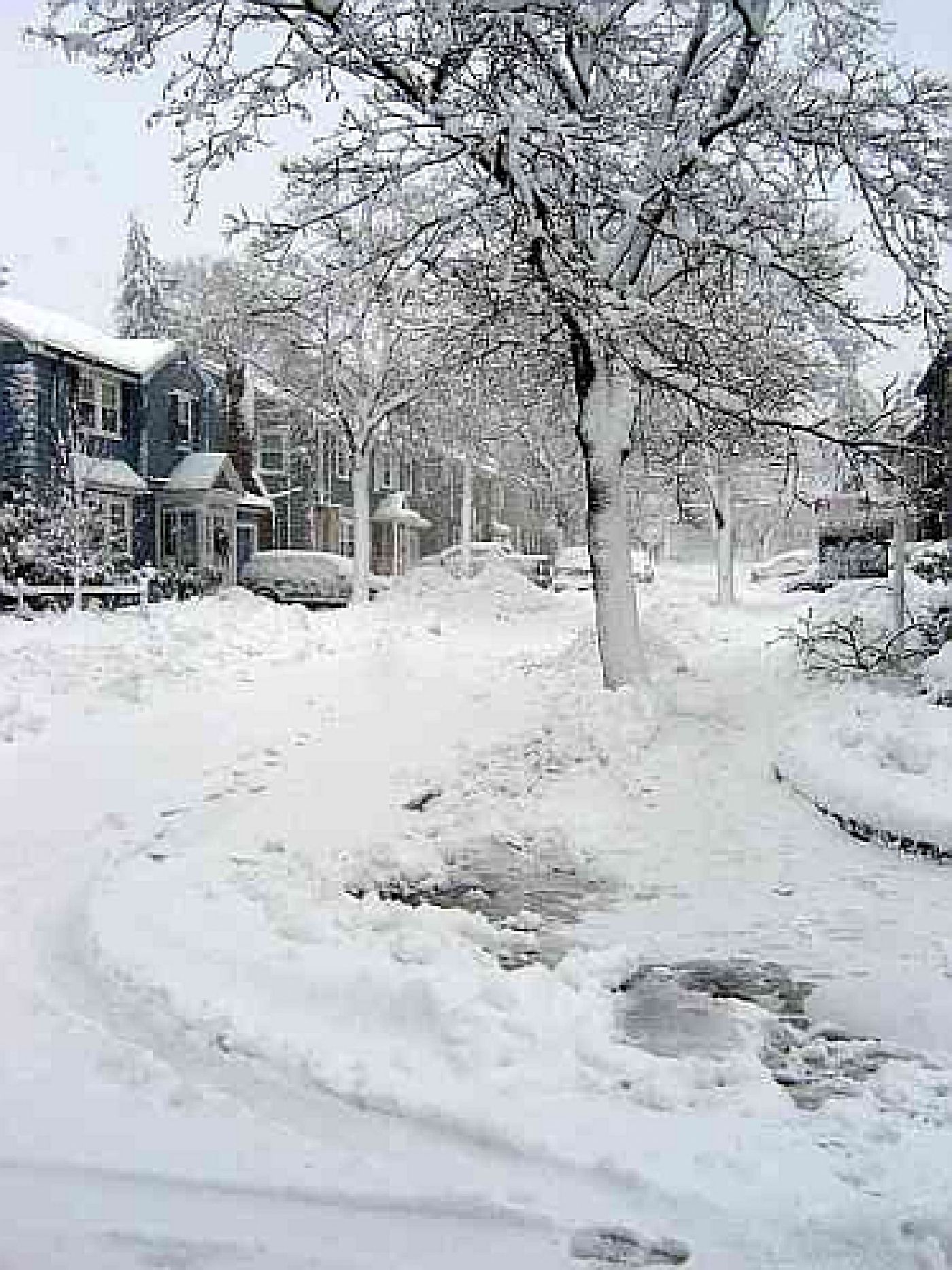Peabody Slope, Dorchester - Blizzard 2011